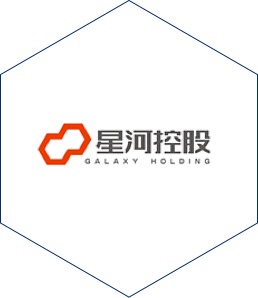 星河控股_logo